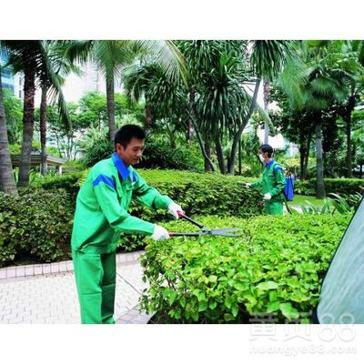 广东绿化养护怡轩园林工厂绿化养护服务