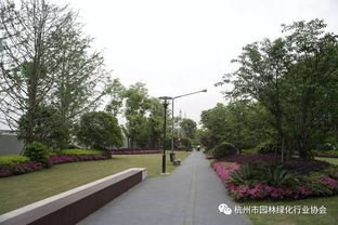 2017年度杭州市优秀园林绿化工程道路组金奖 莫干山路综合整治景观工程